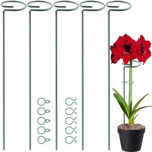 higift 5 pack 17 inch plant support stakes, 4mm thick garden single stem flower support stake amaryllis plant cage support rings with 10 pcs plant clips for tomato orchid lily peony rose flower stem