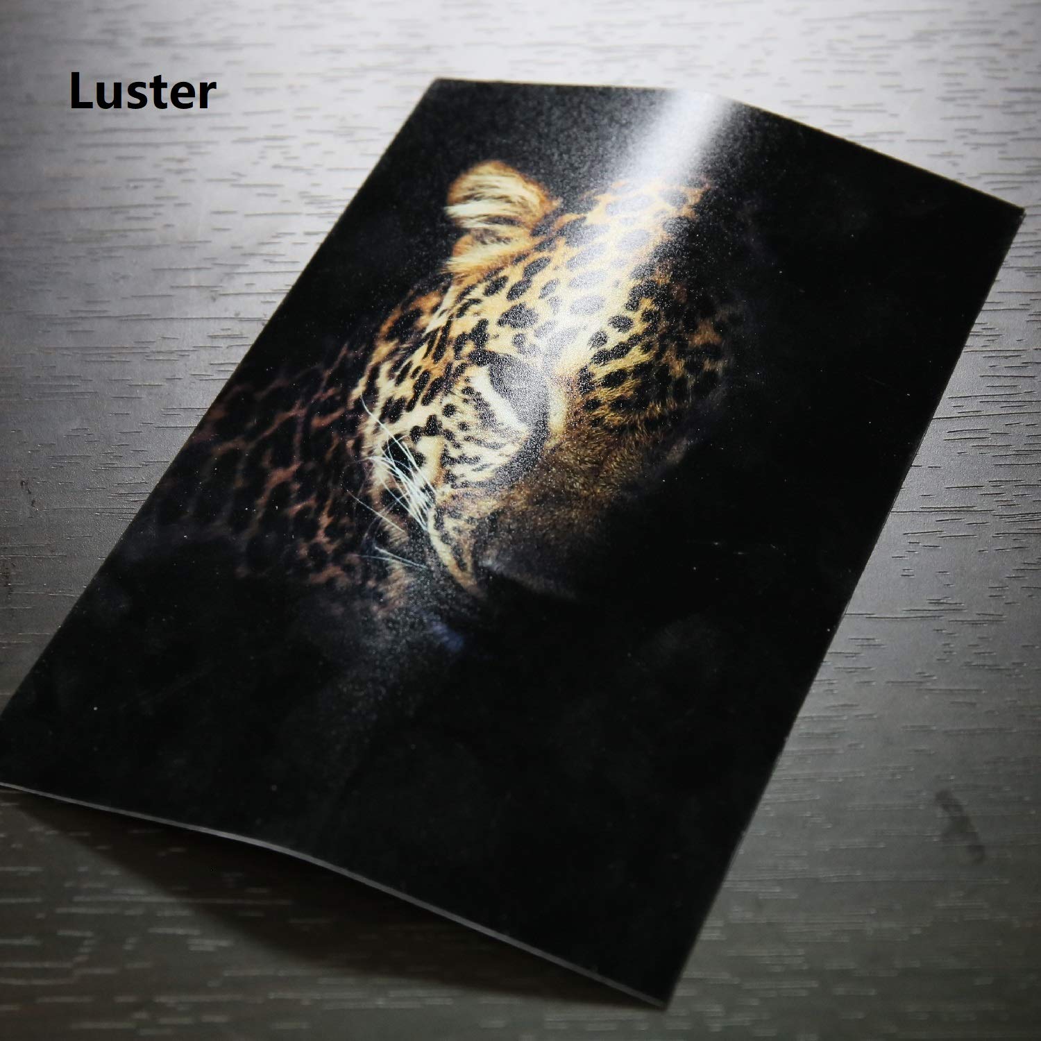 A-SUB Premium Photo Paper Luster 13x19 Inch 66lb for Inkjet Printers 50 Sheets, Single Sided