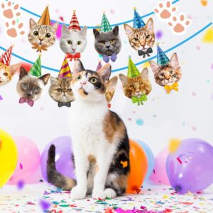 Cat Birthday Banner Not Need DIY Cat Birthday Decorations Cat Garland Cat Faces Banner for Birthday Party Decor