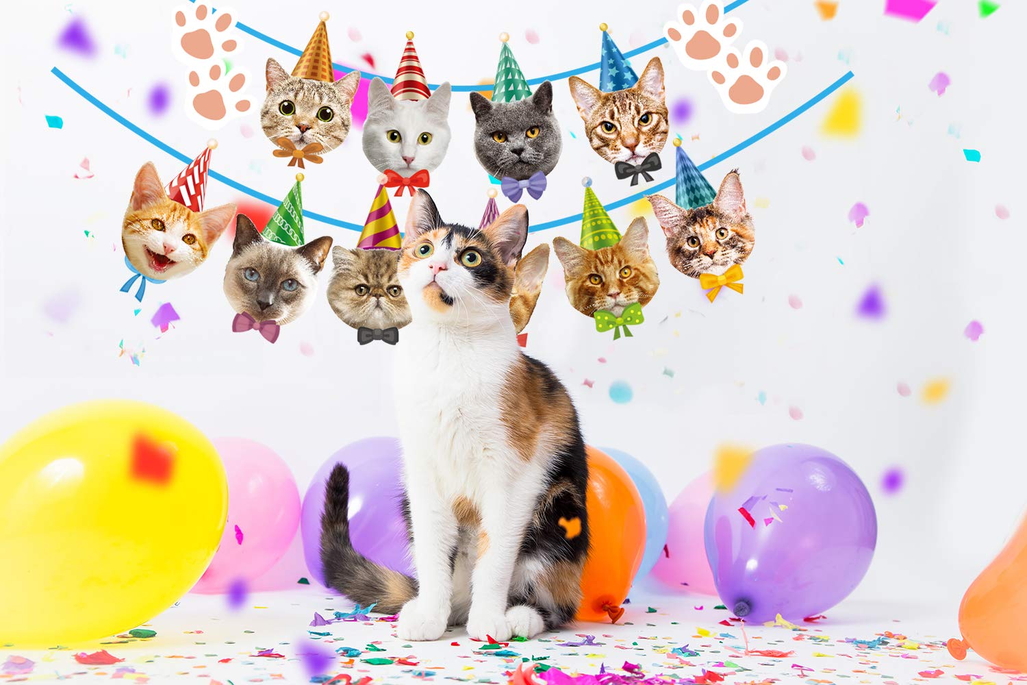 Cat Birthday Banner Not Need DIY Cat Birthday Decorations Cat Garland Cat Faces Banner for Birthday Party Decor