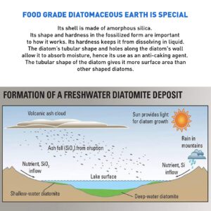 EasyGoProducts Diatomaceous Earth - 100% Natural Food Grade - DE Fresh Water - 1.25 Pounds (EGP-DE-01)