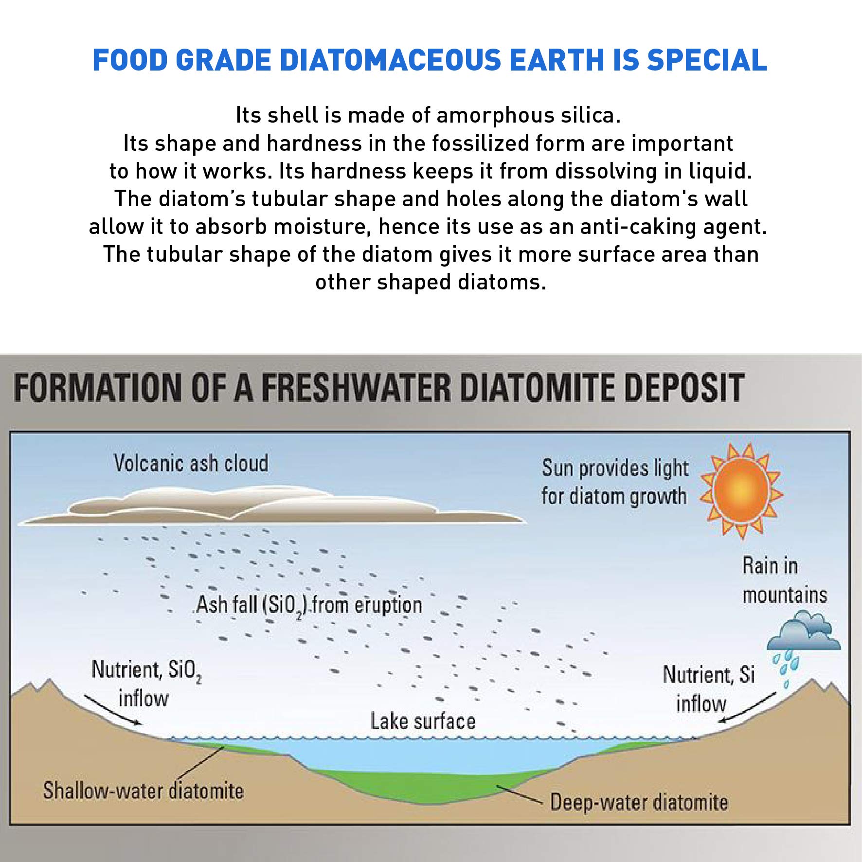 EasyGoProducts Diatomaceous Earth - 100% Natural Food Grade - DE Fresh Water - 1.25 Pounds (EGP-DE-01)