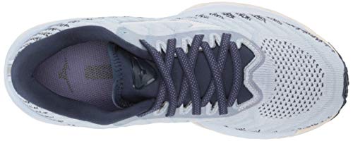 Mizuno womens Wave Sky 4 Waveknit Running Shoe, Arctic Ice, 8 US