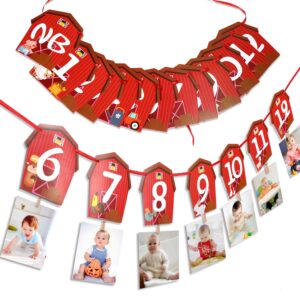 Farm Animal Theme Photo Banner 1st Birthday Monthly Banner Newborn to 12 Month Photo Display Milestone Photograph for Barnyard First Birthday Party Decorations Supplies