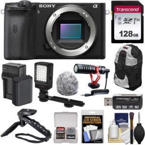 sony alpha a6600 mirrorless digital camera body with 128gb card + battery & charger + backpack + grip/tripod + video light + mic + kit