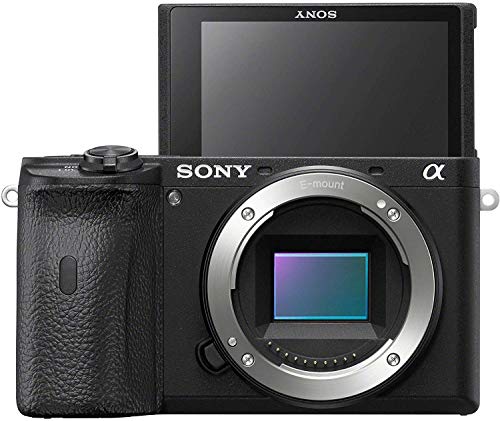 Sony Alpha A6600 Mirrorless Digital Camera Body with 64GB Card + Battery & Charger + Case + Strap + Tripod + Flash + Soft Box + Kit