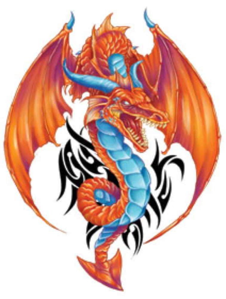 Fantasy Dragons Temporary Tattoos, Set of 10 Colorful Dragon Tattoos