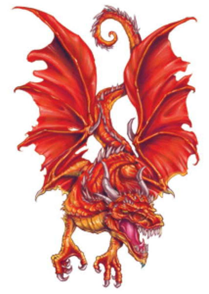 Fantasy Dragons Temporary Tattoos, Set of 10 Colorful Dragon Tattoos