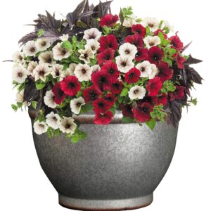 Classic Home & Garden 10512D-531R 12" Alena Planter, Distressed Galvanized