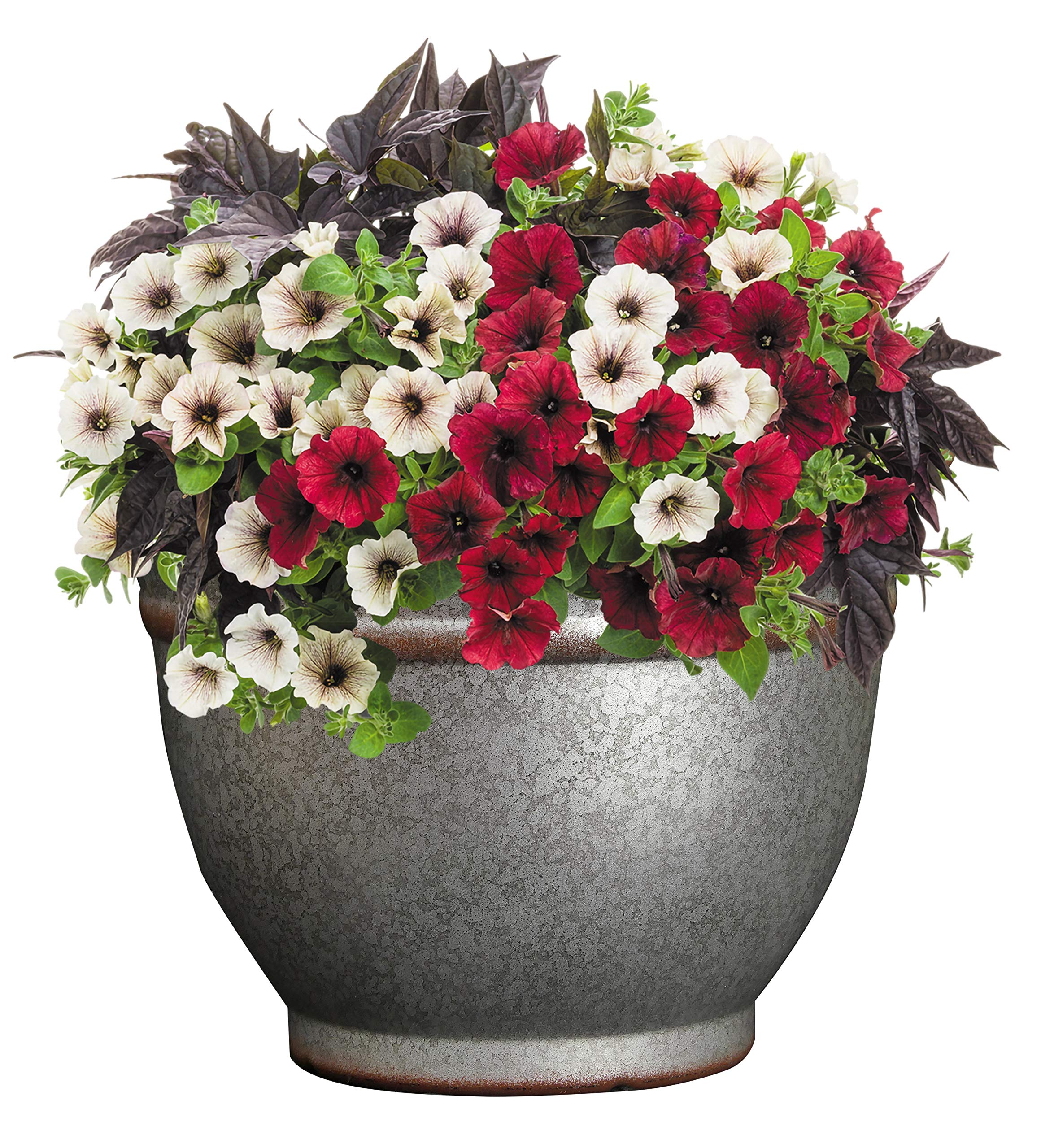 Classic Home & Garden 10512D-531R 12" Alena Planter, Distressed Galvanized