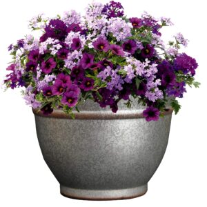 Classic Home & Garden 10512D-531R 12" Alena Planter, Distressed Galvanized