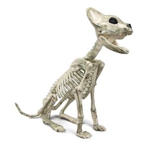 supremask skeleton cat, plastic crouching and sitting cat skeleton, creepy animal bones for halloween decoration (sitting)