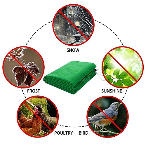 Homimp Frost Protection for Plants,4 Pack of Drawstring Plant Covers (31.5" x 47.3" Inch) Warm Plant Protection Cover Bags for Winter Frost Cold Weather Shrubs & Trees Jacket Covers (Green)