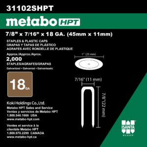 Metabo HPT 18 Gauge Staples And Plastic Caps | 7/16 In. Crown, 7/8-in Leg Length | Electro Galvanized | 2,000 Count | 31102SHPT