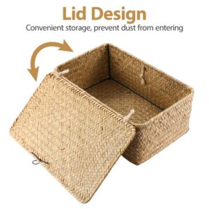 Vosarea Rattan Storage Basket,Straw Seaweed Basket, Hand-Woven Storage Basket Multipurpose Container with Lid for Desktop Home Decor (9inch)