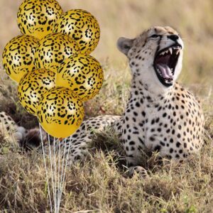 Gejoy 36 Pieces Leopard Balloons Cheetah Balloons Leopard Print Balloons Jungle Animal Balloons Leopard Spots Latex Balloons for Jungle Zoo Animals Party Supplies