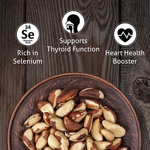 Dry Roasted Brazil Nuts Sea Salted 32oz (2 Pounds) | No oil | No Herbicides Or Pesticides | Batch Tested Gluten & Peanut Free | Non GMO | No PPO | Vegan and Keto Friendly | Premium Quality | Made from 100% Natural Brazil Nuts