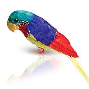 artcreativity 11 inch parrot, realistic parrot party decoration with lifelike feathers, artificial parrot bird for tropical party and home décor, feathered parrot on shoulder prop for pirate costume