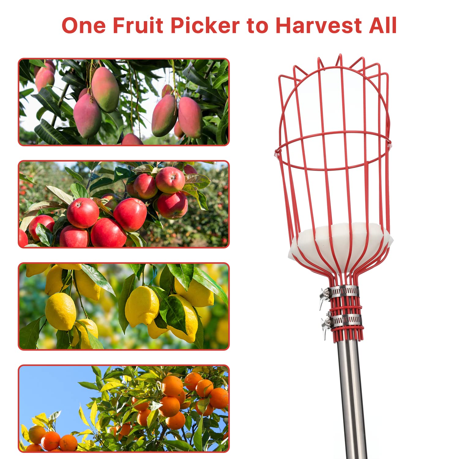 Fruit Picker Tool, 13 Ft Extendable Pole with Basket for Fruit Picker, High Reach Stainless Steel Fruit Picking Tool for Apple, Orange, Citrus, Pear, Mango from Trees, Easy Install and High Reach