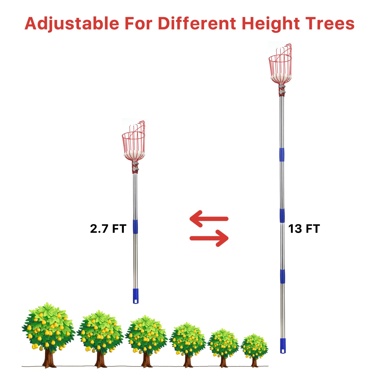 Fruit Picker Tool, 13 Ft Extendable Pole with Basket for Fruit Picker, High Reach Stainless Steel Fruit Picking Tool for Apple, Orange, Citrus, Pear, Mango from Trees, Easy Install and High Reach