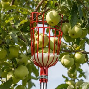 Fruit Picker Tool, 13 Ft Extendable Pole with Basket for Fruit Picker, High Reach Stainless Steel Fruit Picking Tool for Apple, Orange, Citrus, Pear, Mango from Trees, Easy Install and High Reach