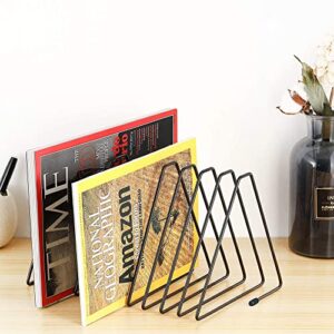 CAXXA 10 Slots Triangle Bookshelf, File Sorter, Metal Wire Magazine Holder, Document Holder, Black
