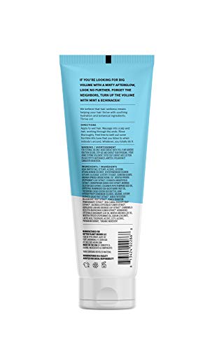 Acure Vivacious Volume Conditioner | Mint & Echinacea Volume Regimen: Lift and Nourish Fine, Fragile Hair for Fullness and Body, 8 Fl Oz