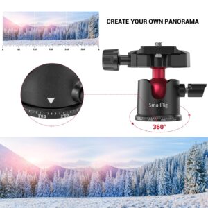 SmallRig Mini Ball Head, Tripod Head Camera 360° Panoramic with 1/4" Screw 3/8" Thread Mount and Quick Release Plate Metal Ball Joint for Monopod, DSLR, Phone, Gopro, Max Load 4.4lbs/2kg - BUT2665