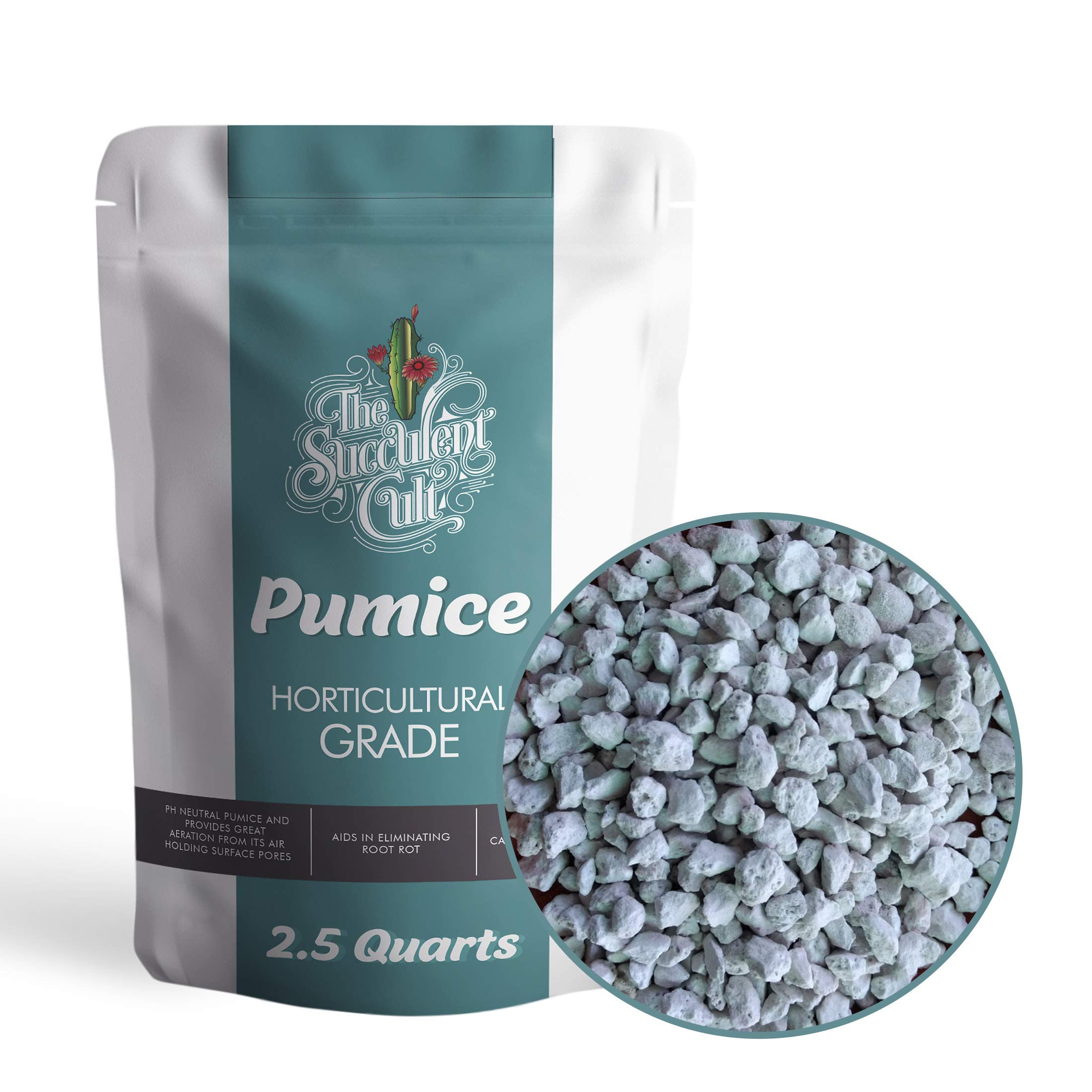 Horticultural Grade Pumice (2.5 Dry QUARTS) - Bonsai, Cactus, Succulent Soil Additive - Eliminate Root Rot - Ready to Use, by The Succulent Cult