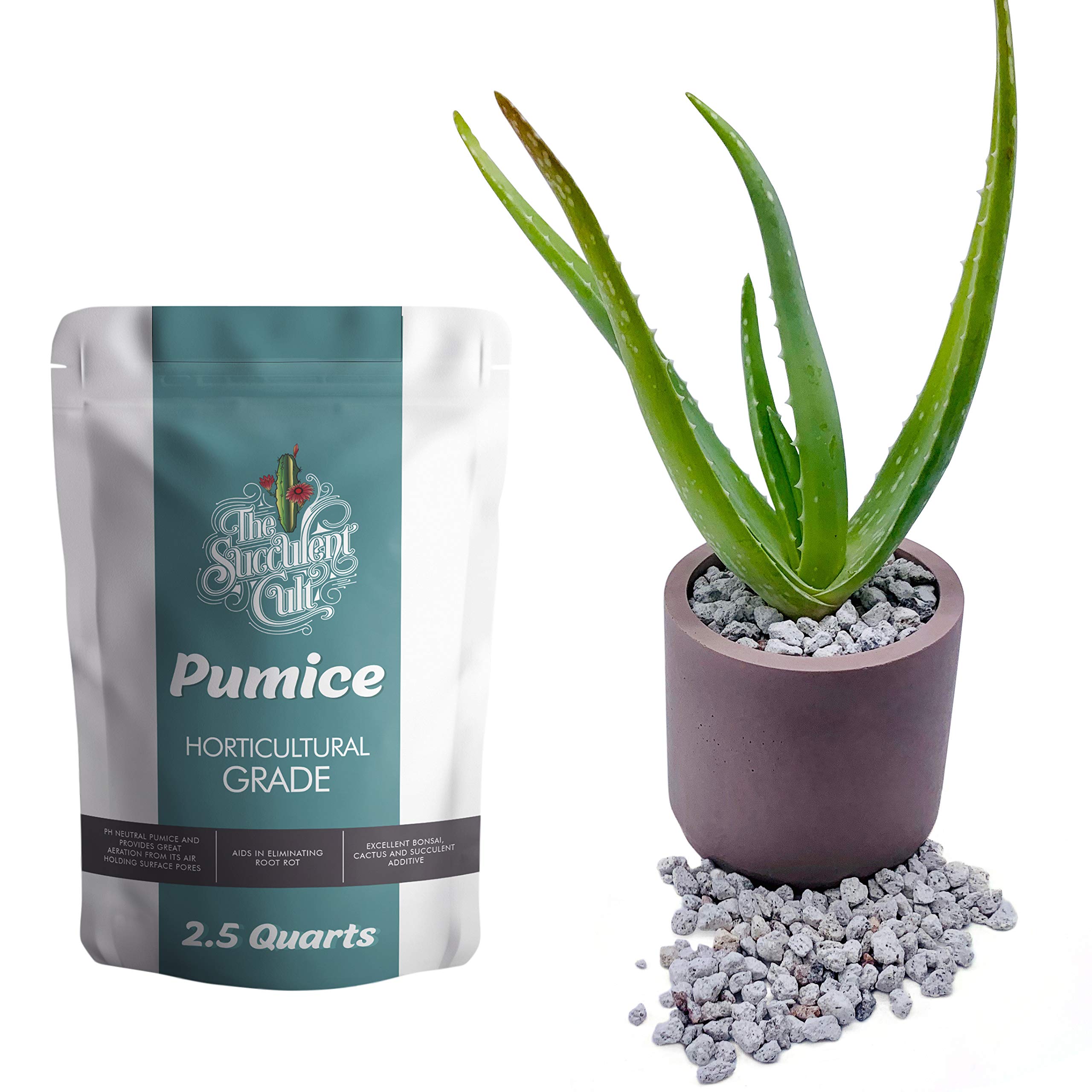 Horticultural Grade Pumice (2.5 Dry QUARTS) - Bonsai, Cactus, Succulent Soil Additive - Eliminate Root Rot - Ready to Use, by The Succulent Cult