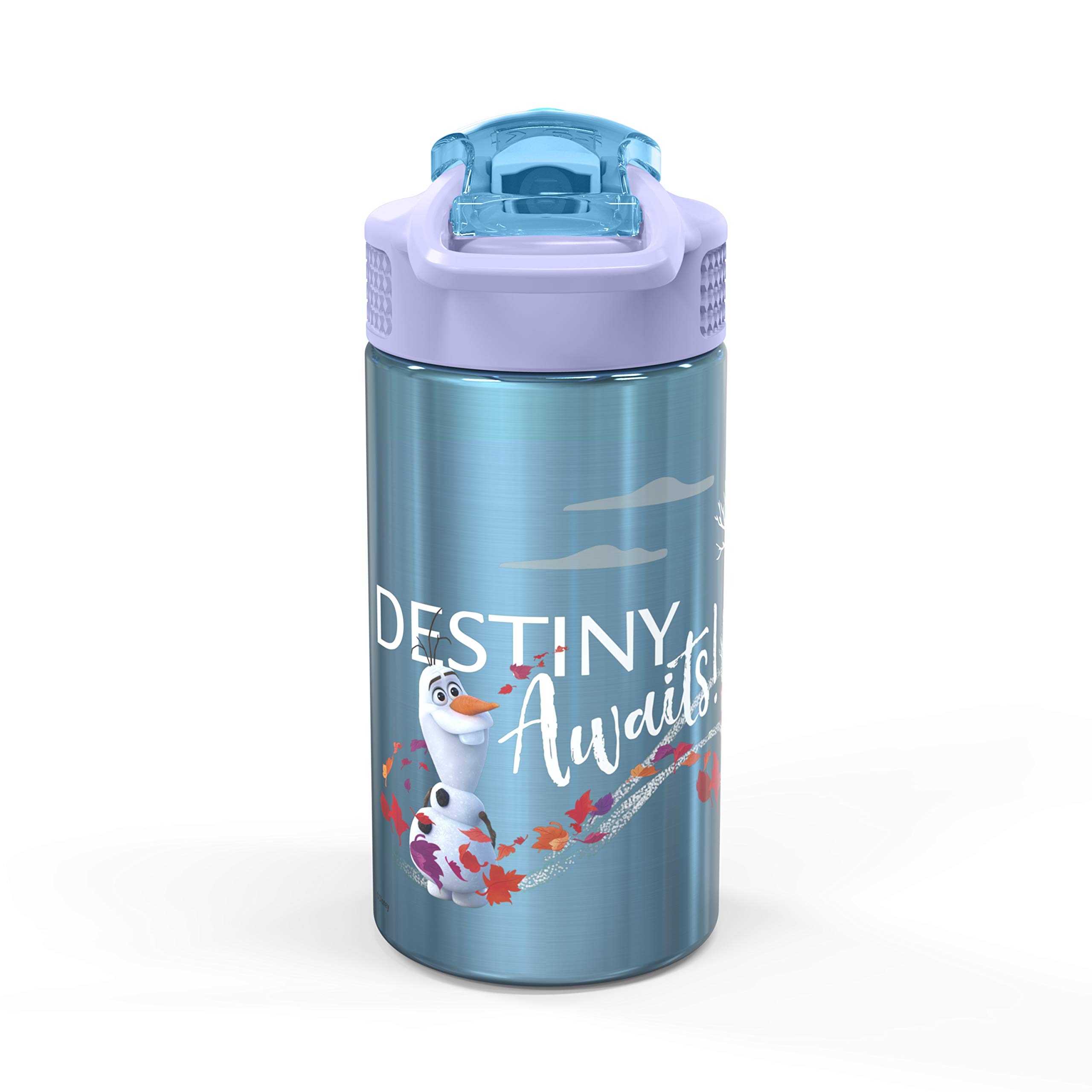 Zak Designs Frozen II 15.5oz Stainless Steel Kids Water Bottle with Flip-up Straw Spout - BPA Free Durable Design, (Elsa And Anna) (FRZA-S730-C)