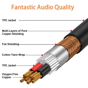 TISINO 1/8 to 1/4 Stereo Cable, 1/8 Inch TRS Stereo to Dual 1/4 inch TS Mono Y-Splitter Cable 3.5mm Aux Mini Jack to Jack Breakout Cord - 6.6 feet