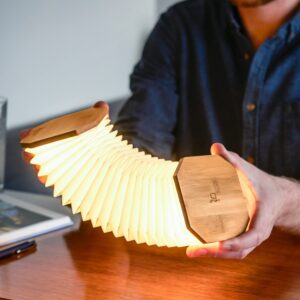 Gingko Natural Bamboo Wood Smart Accordion Lamp