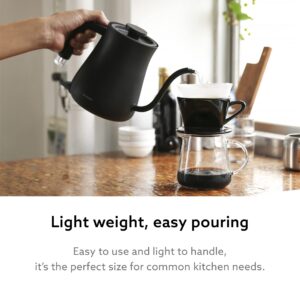 BALMUDA The Kettle | Electric Lightweight Gooseneck Kettle | Stainless Steel | 0.6L (20fl oz) Capacity | Neon Light Indicator | Perfect for Tea and Coffee | K02H-BK | Black | US Version