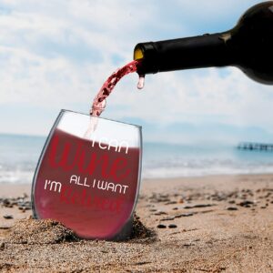 I Can Wine I'm Retired - 15oz Funny Stemless Wine Glass Perfect Retirement Gift for Women Men Dad Mom Unique Present for Friends Coworkers Office Boss Grandma & Family Retiree Retiring - By Funnwear