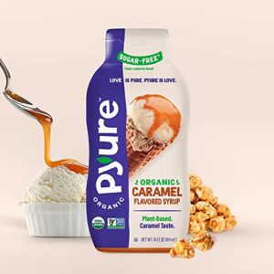 Pyure Organic Caramel Flavored Syrup, Zero Sugar, 1 Net Carb, Gluten-Free, Plant-Based for Vegan Keto Friendly Food, 14 Oz