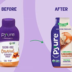 Pyure Organic Caramel Flavored Syrup, Zero Sugar, 1 Net Carb, Gluten-Free, Plant-Based for Vegan Keto Friendly Food, 14 Oz