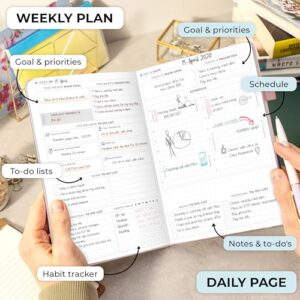 Clever Fox Planner Daily Premium – Undated Daily Planner with Hourly Schedule, Personal Organizer, Productivity Journal, 6 Months (Rose Gold)