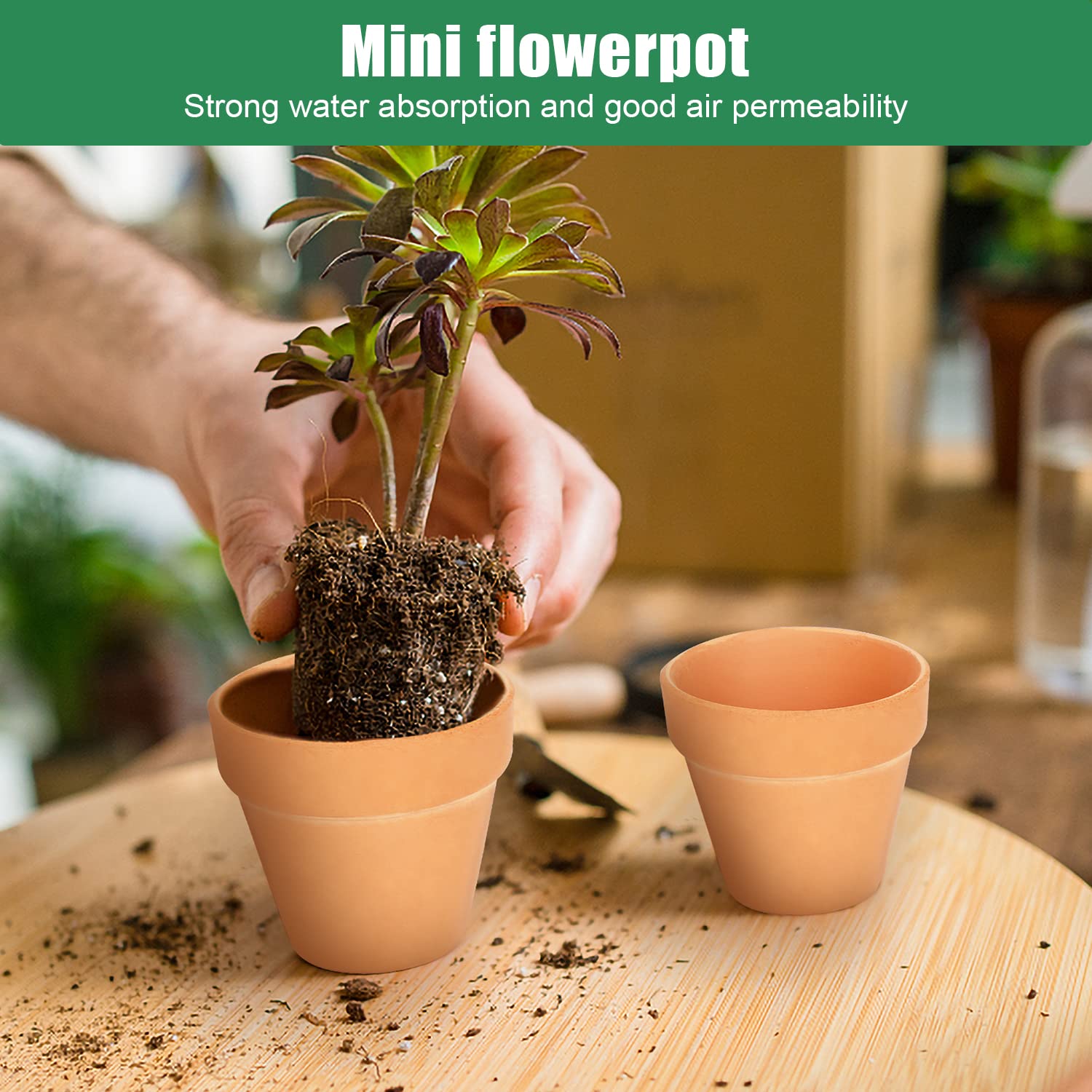 FAMILY 20Pack 3 inch Terra Cotta Color Solid Clay Indoor Mini Flower Pots