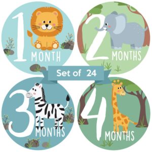 baby monthly stickers | zoo animals baby milestone stickers | jungle newborn boy or girl stickers | month stickers for baby boy | gender neutral | unisex safari newborn monthly milestones (set of 24)