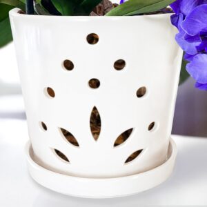 Atri Orchid Pot with Holes–6.5" Porcelain Indoor Orchid Planter–Large Orchid Pots for Repotting–Ceramic Orchid Planter–Drainage Holes