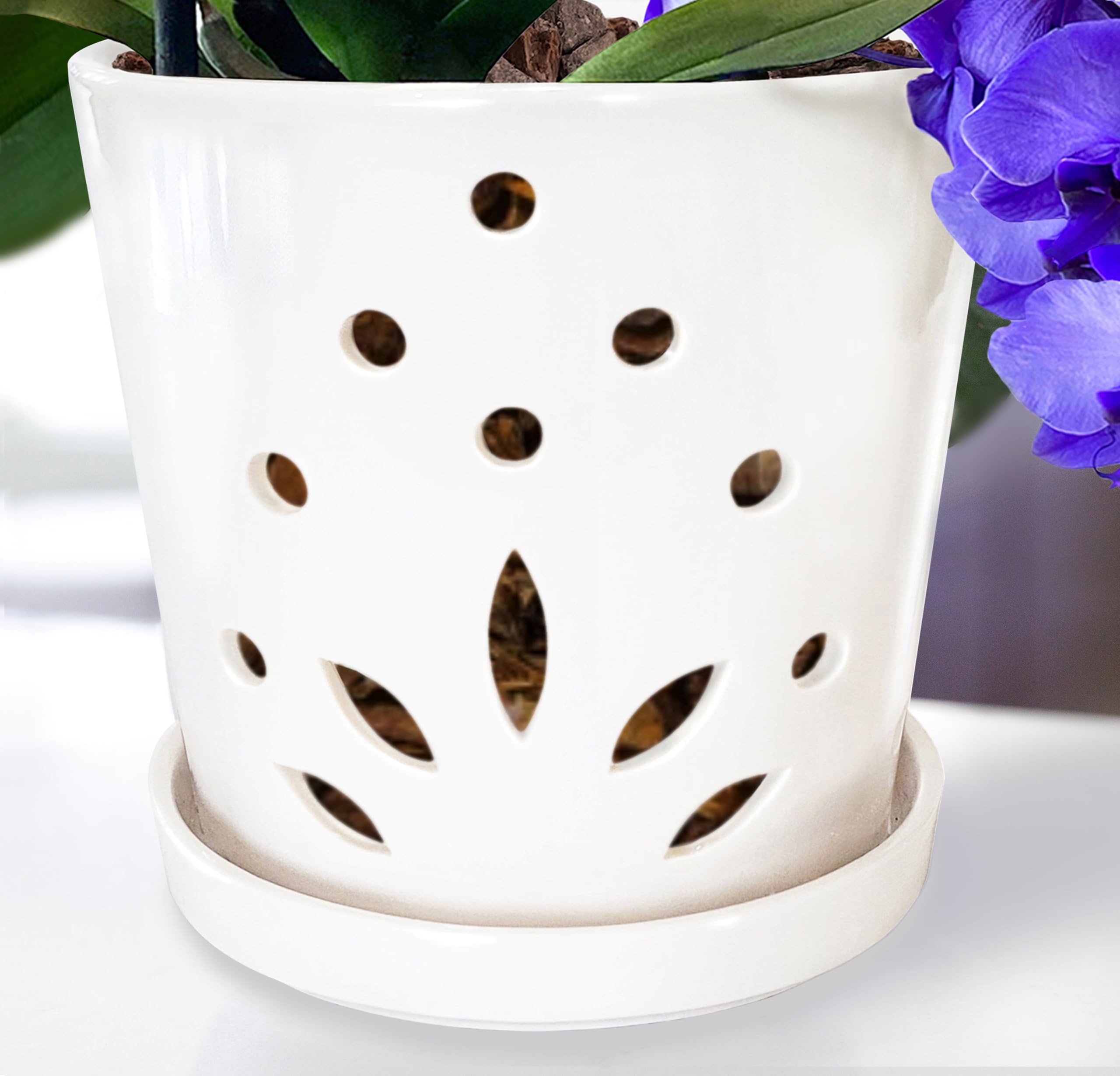 Atri Orchid Pot with Holes–6.5" Porcelain Indoor Orchid Planter–Large Orchid Pots for Repotting–Ceramic Orchid Planter–Drainage Holes