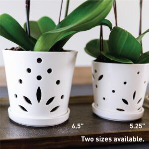 Atri Orchid Pot with Holes–6.5" Porcelain Indoor Orchid Planter–Large Orchid Pots for Repotting–Ceramic Orchid Planter–Drainage Holes