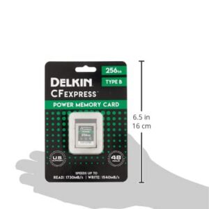 Delkin Devices 256GB POWER CFexpress Type B Memory Card (DCFX1-256)