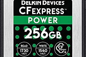 Delkin Devices 256GB POWER CFexpress Type B Memory Card (DCFX1-256)