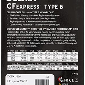 Delkin Devices 256GB POWER CFexpress Type B Memory Card (DCFX1-256)