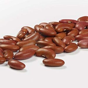 Camellia Brand Dried Red Kidney Beans, 1 Pound (2 Pack)