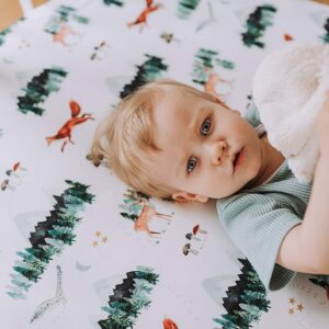 Sorrel + Fern 2-Pack Crib Sheets for Standard Crib Matress (Woodland Forest Animals) - Premium Fitted Sheets - Buttery Soft Cotton Blend