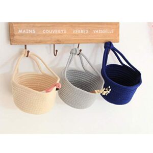 BESPORTBLE Hanging Basket: Wall Basket with Handles, Hanging Wall Basket for Storage, Small Baskets for Wall Decor, Hanging Woven Wall Basket