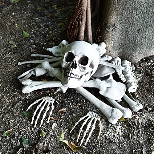 Gonioa Bag of Skeleton Bones and Skull for Best Halloween Decoration and Spooky Graveyard Scene, Outdoor Halloween Prop Creepy Haunted Decorations – 28 Pcs Set